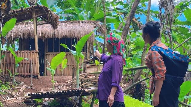 Single mother in a state of complete breakdown receives old house from kind woman.starts new life Single mother in a state of complete breakdown receives old house from kind woman.starts new life