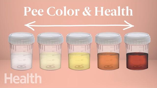 What your urine color says about your health | urinary system breakdown | #deepdives What your urine color says about your health | urinary system breakdown | #deepdives