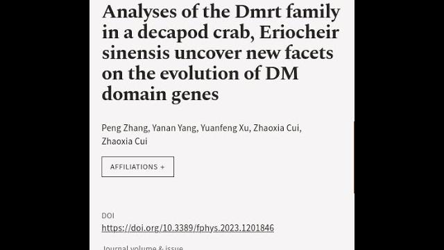 Analyses of the dmrt family in a decapod crab, eriocheir sinensis uncover new facets ... | rtcl.tv Analyses of the dmrt family in a decapod crab, eriocheir sinensis uncover new facets ... | rtcl.tv