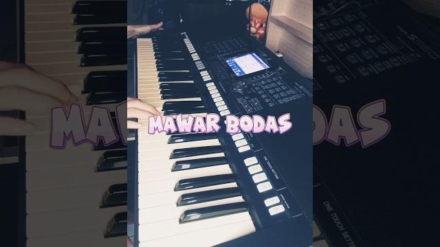 Mawar bodas intro melodi #shorts Mawar bodas intro melodi #shorts