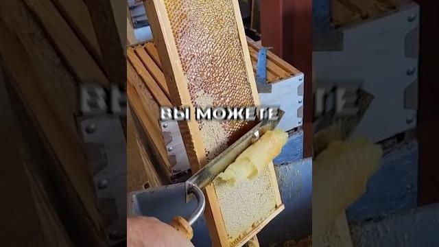 Что такое динамическое программирование? Что такое динамическое программирование?
