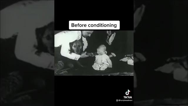 Science experiments that went wrong #shorts Science experiments that went wrong #shorts