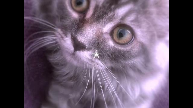 Babygrey Babygrey