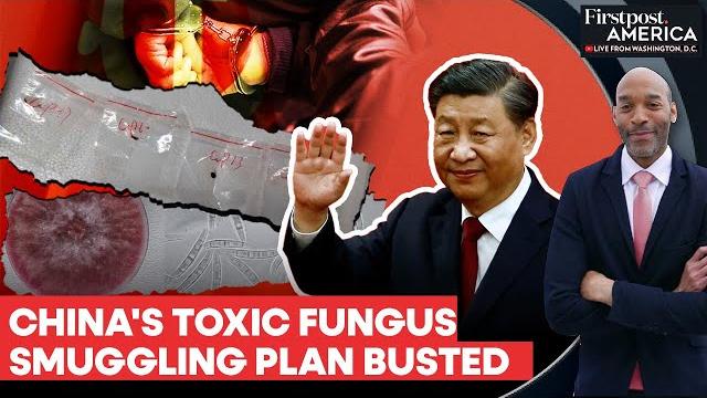 Us: china's agroterrorism plan busted, couple caught with toxic fungus | firstpost america | n18g Us: china's agroterrorism plan busted, couple caught with toxic fungus | firstpost america | n18g