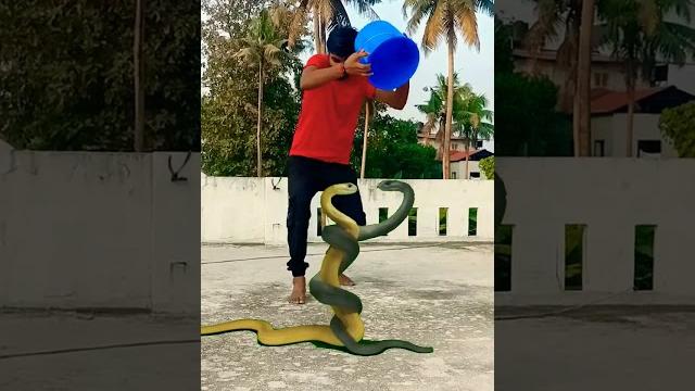 Bam bam bhole #shortvideo #youtubeshorts #bam bhole Bam bam bhole #shortvideo #youtubeshorts #bam bhole