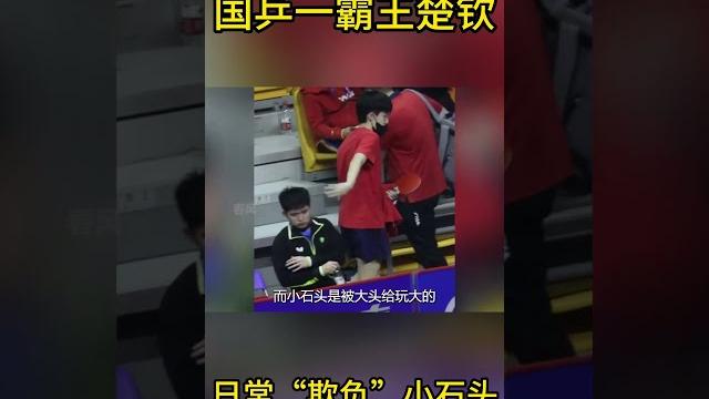 国乒一霸王楚钦,每天“欺负”小石头 国乒一霸王楚钦,每天“欺负”小石头