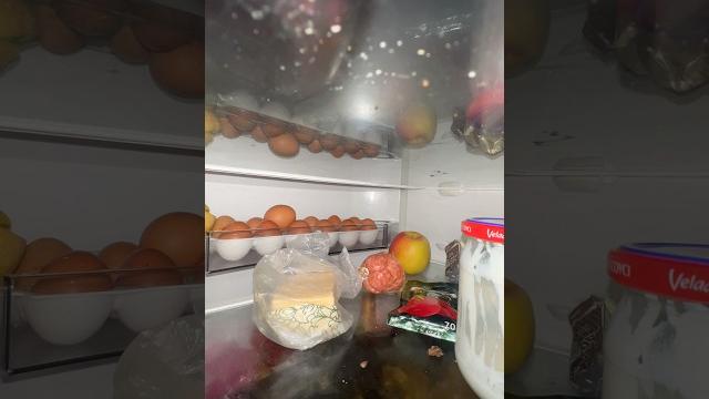 Что происходит в холодильнике когда его закрывают Что происходит в холодильнике когда его закрывают