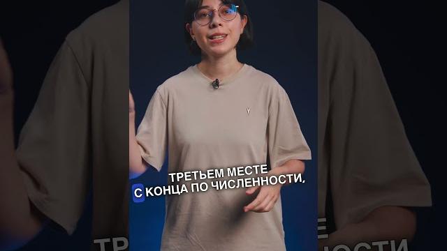Итоги егэ по химии 2023. как прошел экзамен? #егэ Итоги егэ по химии 2023. как прошел экзамен? #егэ
