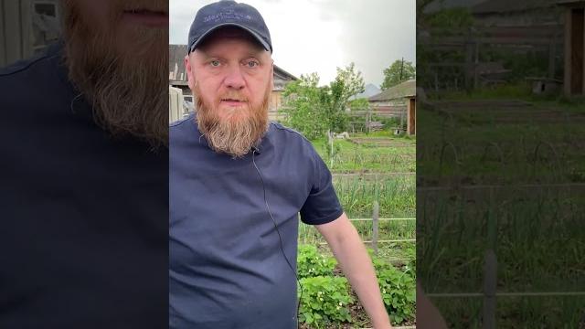Лучшее средство от язвы от гастрита, от желудка Лучшее средство от язвы от гастрита, от желудка