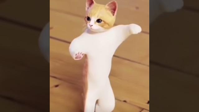 Cute cat dancing #tango Cute cat dancing #tango