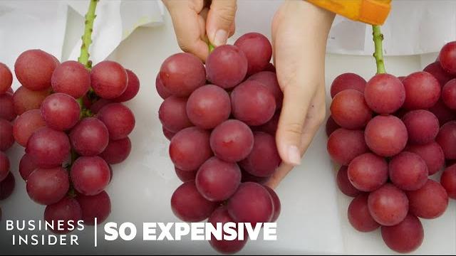 Why japanese ruby roman grapes are so expensive | so expensive Why japanese ruby roman grapes are so expensive | so expensive