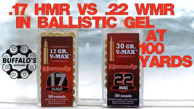 V-max ballistic gel test ~ .22 wmr vs .17 hmr V-max ballistic gel test ~ .22 wmr vs .17 hmr