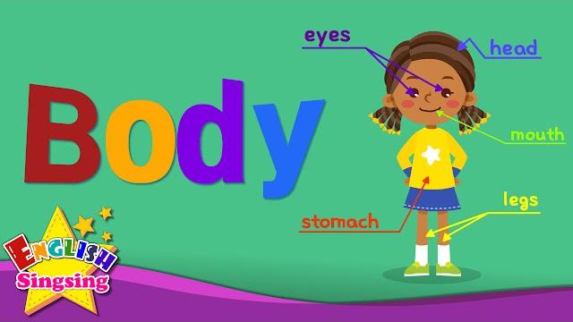Body - kids vocabulary - parts of the body - learn english for kids - english educational video Body - kids vocabulary - parts of the body - learn english for kids - english educational video