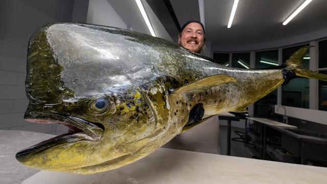 The #1 myth about this fish The #1 myth about this fish