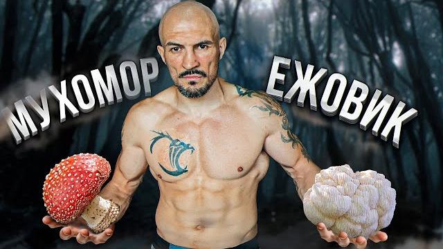 Мухомор и ежовик - вред? мой опыт Мухомор и ежовик - вред? мой опыт