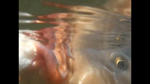 Hungry lips | 20230730 #lips #hungry Hungry lips | 20230730 #lips #hungry