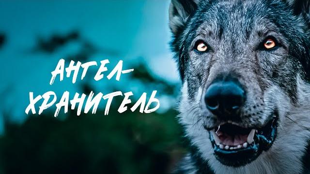 Судьбы в вихре времени! сага об ангелах и волках! ангел-хранитель. все серии Судьбы в вихре времени! сага об ангелах и волках! ангел-хранитель. все серии