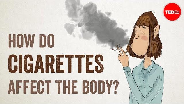 How do cigarettes affect the body? - krishna sudhir How do cigarettes affect the body? - krishna sudhir