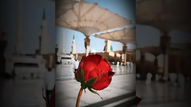 Beautiful naat status what's app status viral video #naatstatus #short #video #trending #youtube Beautiful naat status what's app status viral video #naatstatus #short #video #trending #youtube