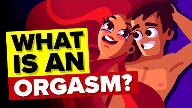 What exactly is an orgasm? What exactly is an orgasm?