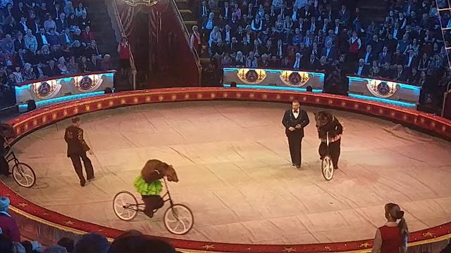 Russian bear riding bicycle in moscow circus Russian bear riding bicycle in moscow circus