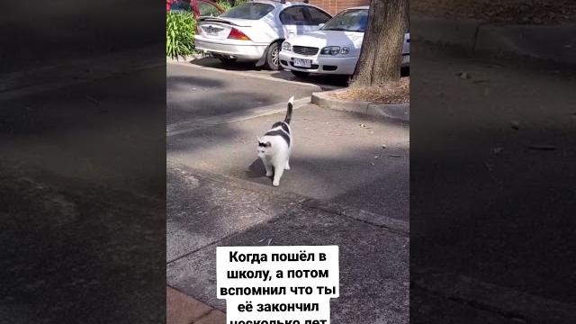 Школа.exe Школа.exe