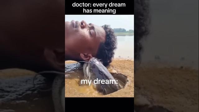 ️lin gan guli guli guli wata credits: keenan_zf #meme #memes #funny #funnyvideo #dreams #fish ️lin gan guli guli guli wata credits: keenan_zf #meme #memes #funny #funnyvideo #dreams #fish