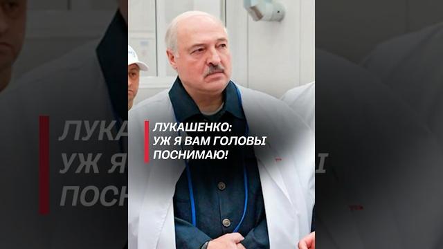 Лукашенко: уж я вам головы поснимаю! #лукашенко #беларусь #новости #политика #батька #беллакт Лукашенко: уж я вам головы поснимаю! #лукашенко #беларусь #новости #политика #батька #беллакт