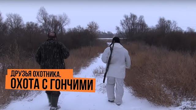 Друзья охотника \ охота с гончими Друзья охотника \ охота с гончими