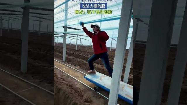 女子站在自己做的小車上,安裝大棚的膜 女子站在自己做的小車上,安裝大棚的膜