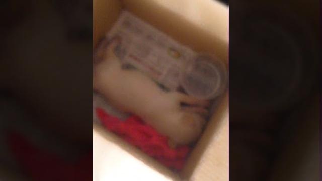 歐買尬!快來觀看 yy 的影片吧!#tiktok > 歐買尬!快來觀看 yy 的影片吧!#tiktok >