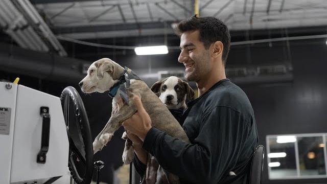 Behind the scenes of vgk's dog calendar shoot Behind the scenes of vgk's dog calendar shoot