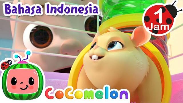 Lagu peliharaan kelas kita | cocomelon indonesia | lagu anak | nursery rhymes indonesia Lagu peliharaan kelas kita | cocomelon indonesia | lagu anak | nursery rhymes indonesia