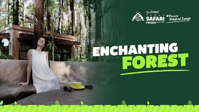 Enchanting forest the grand taman safari prigen, the new favorite family destination in east java Enchanting forest the grand taman safari prigen, the new favorite family destination in east java