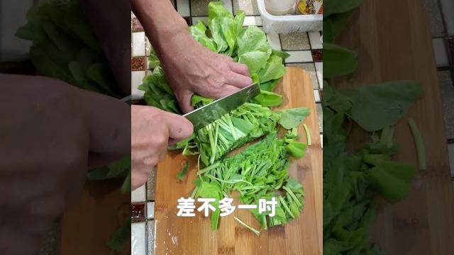 炒蛋杏菜湯沒有吻仔魚也沒關係 #媽媽料理 #廚房 #親子對話 #湯 #古早味 炒蛋杏菜湯沒有吻仔魚也沒關係 #媽媽料理 #廚房 #親子對話 #湯 #古早味