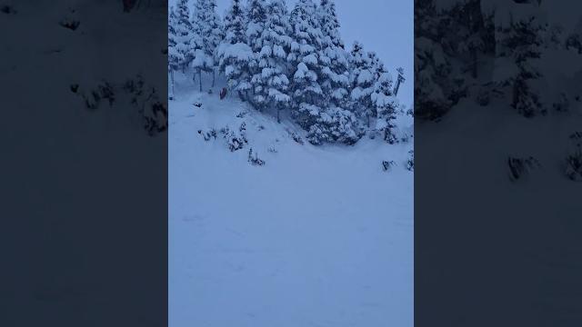 This is #freeride #ski #ifsa This is #freeride #ski #ifsa