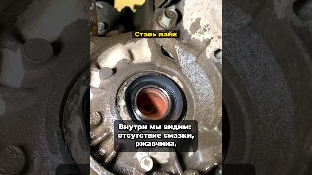 Когда менять сальник привода #автосервис #привод #шрус #авторемонт #ремонтавтомобиля #яузамоторс Когда менять сальник привода #автосервис #привод #шрус #авторемонт #ремонтавтомобиля #яузамоторс