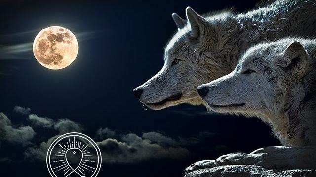 Native american flute music: meditation music for shamanic astral projection, healing music Native american flute music: meditation music for shamanic astral projection, healing music