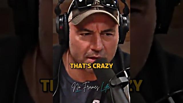 Joe rogan shocked by danica patrick | jre #jre #joerogan #racing Joe rogan shocked by danica patrick | jre #jre #joerogan #racing