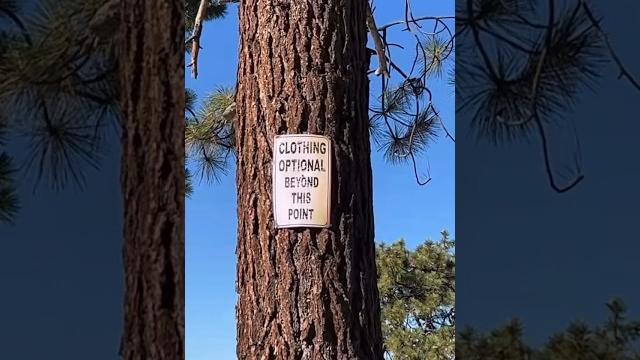 ️ bodypainting at a lake tahoe nudist beach ️ bodypainting at a lake tahoe nudist beach