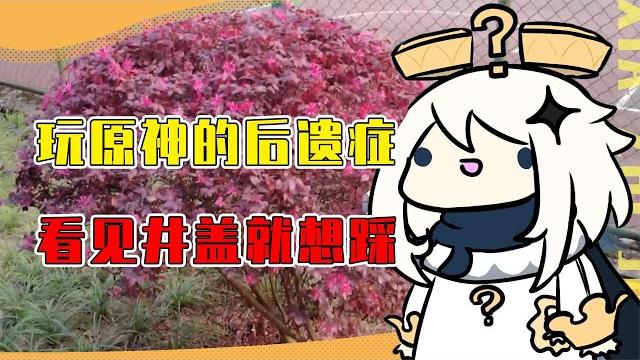 没想到玩原神还玩出后遗症了?看见井盖就想踩看见石堆就想砸! 没想到玩原神还玩出后遗症了?看见井盖就想踩看见石堆就想砸!