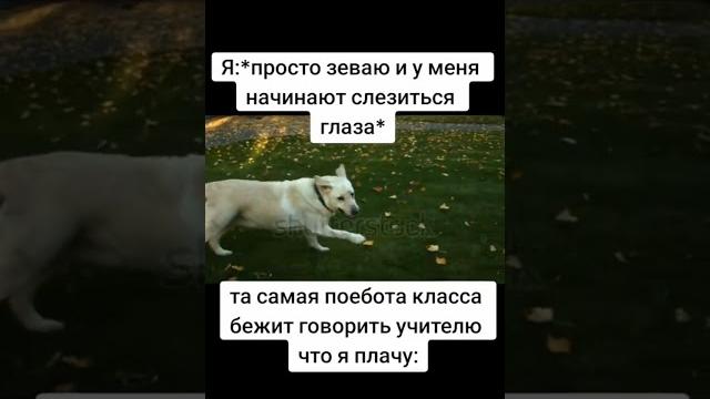 Когда слезятся глаза в мбоу сош Когда слезятся глаза в мбоу сош
