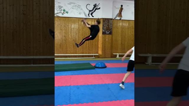 #wushu #taolu #kungfu #alania #wushu #taolu #kungfu #alania