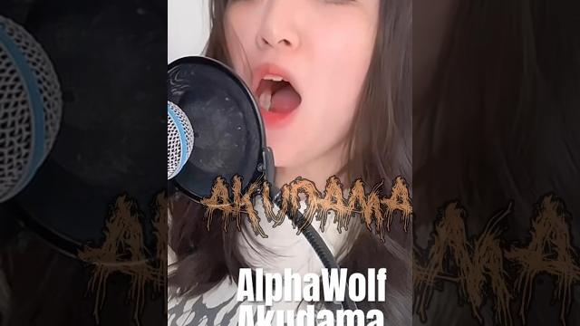 #alphawolf #akudama #metal #metalcore #deathcoremusic #deathcore #blegh #breakdown #scream #cover #alphawolf #akudama #metal #metalcore #deathcoremusic #deathcore #blegh #breakdown #scream #cover