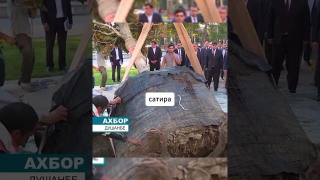 Репетиция похорон эмомали рахмона #эмомалирахмон #таджикистан Репетиция похорон эмомали рахмона #эмомалирахмон #таджикистан