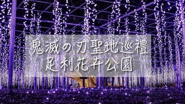 鬼滅之刃聖地巡禮 | 現實中的紫藤花 | 內有抽獎活動! 鬼滅之刃聖地巡禮 | 現實中的紫藤花 | 內有抽獎活動!