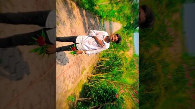 Hindi & cg remix mar dare maya ma ️ #instagram #chhattisgarh #love #youtube #cgsong #viral Hindi & cg remix mar dare maya ma ️ #instagram #chhattisgarh #love #youtube #cgsong #viral
