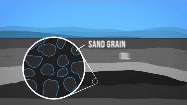 Oil 101 Oil 101