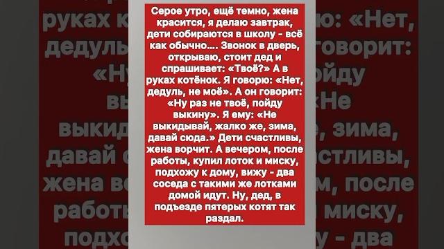 Спасение котенков #история #кошка Спасение котенков #история #кошка