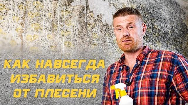 Как избавится от плесени, грибка и мха навсегда Как избавится от плесени, грибка и мха навсегда